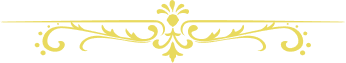 head-logo